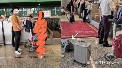 如何帶貓上飛機(jī)(進(jìn)客艙,非托運(yùn))